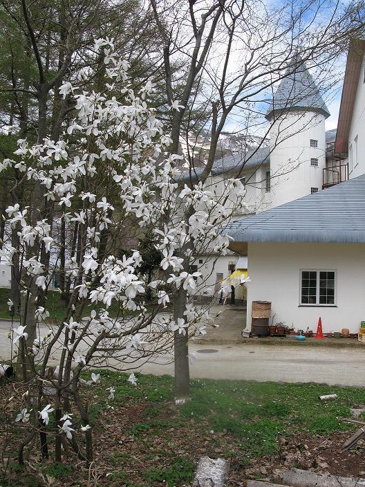 Grindelwald Hotell Yuzawa  Eksteriør bilde